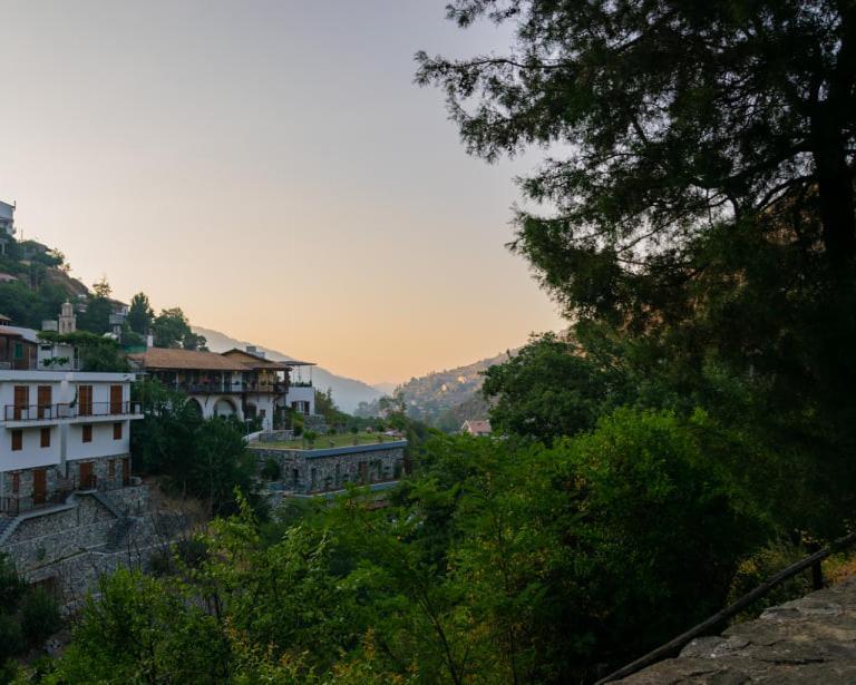 Aparthotel Theoxenia Kalopanagiotis Exterior foto
